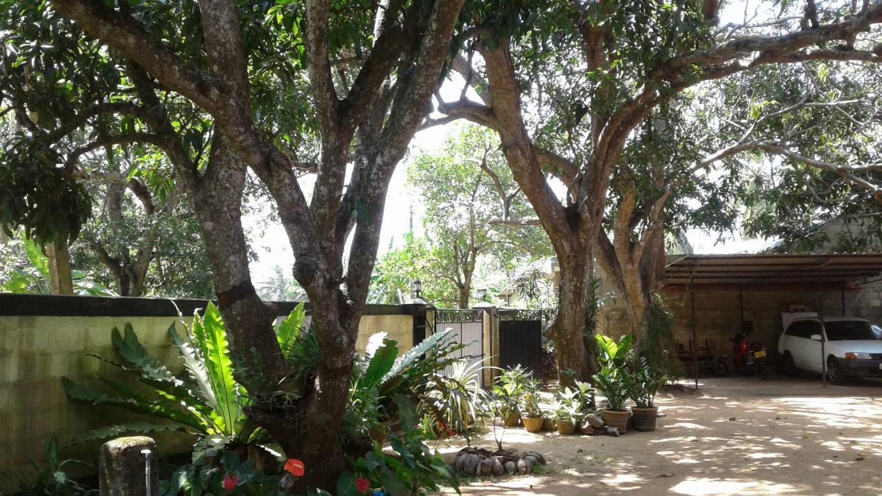 Water Front Home Stay And Resort Holambra Exterior foto